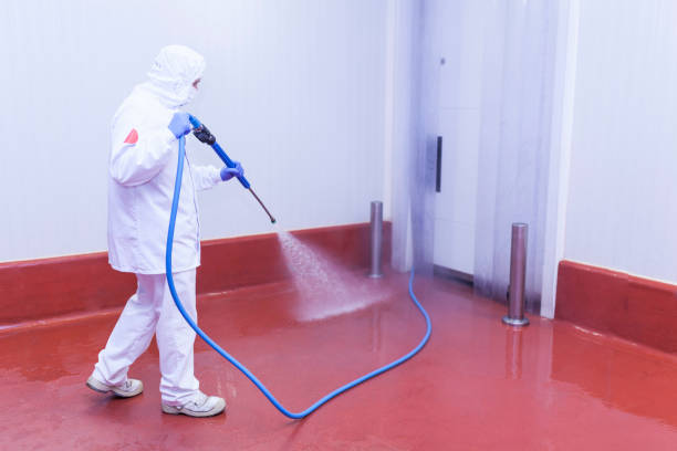 Best Window and Screen Pressure Cleaning in Ddanelle, AR